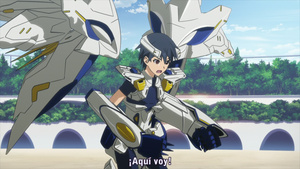 IS: Infinite Stratos